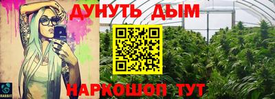 индика Малоярославец
