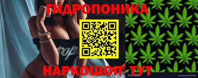 стаф Мариинск