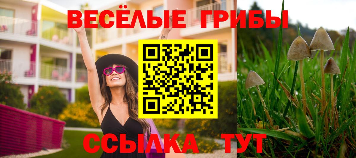 наркота  Вход с VPN  Учалы  Псилоцибиновые грибы прущие грибы 